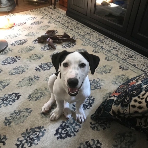 Meet your Posher, Susan - Picture 3 of 3